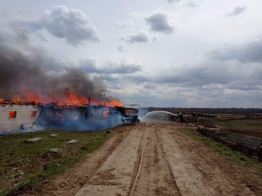 15 животных погибли в пожаре на ферме под Костромой