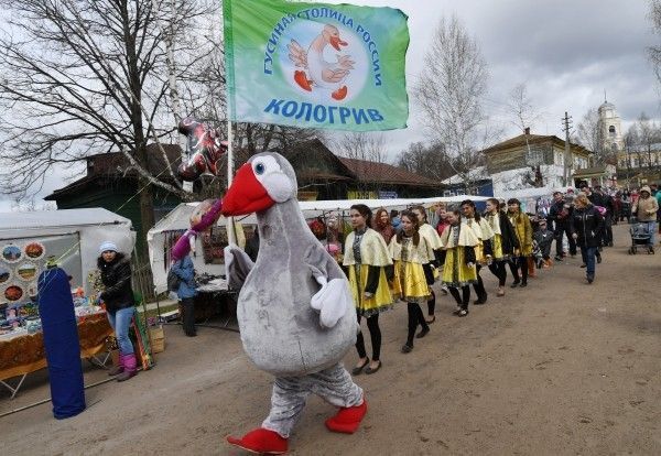 Шествие гусей в человеческий рост пройдет в костромском городе