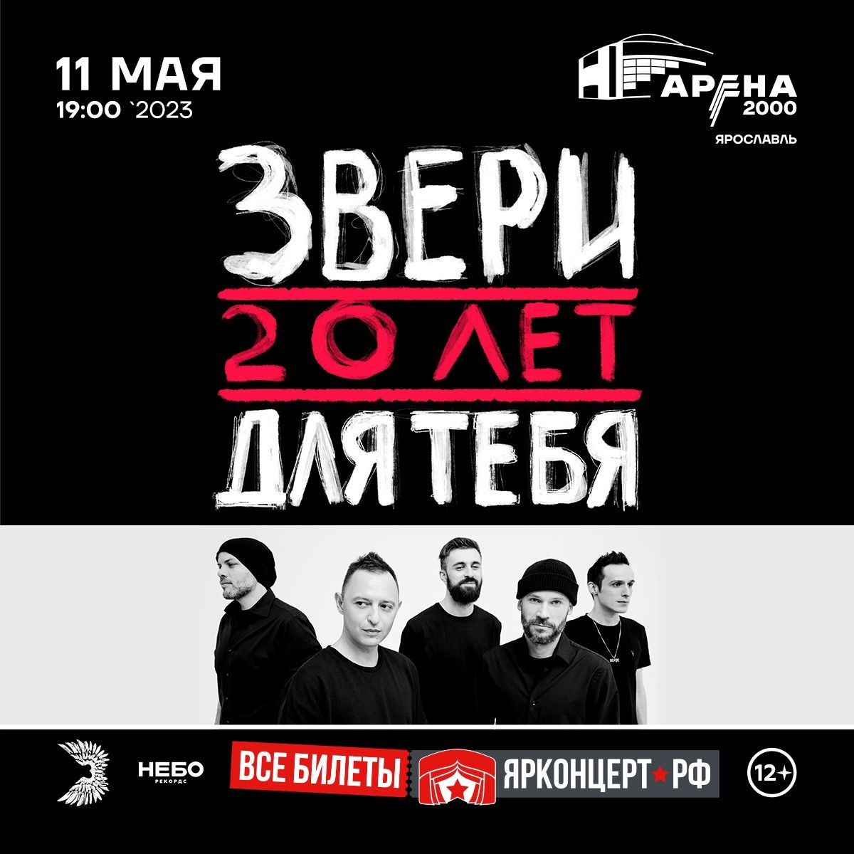 Костромичи ещё успевают купить билеты на концерт группы «Звери»