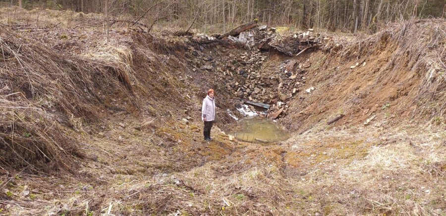 Известный эколог обмерла из-за площадки для мусорного полигона под Костромой