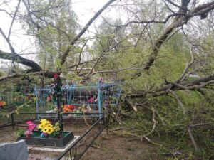 В День Победы дерево упало на могилу ветерана ВОВ в Костромской области