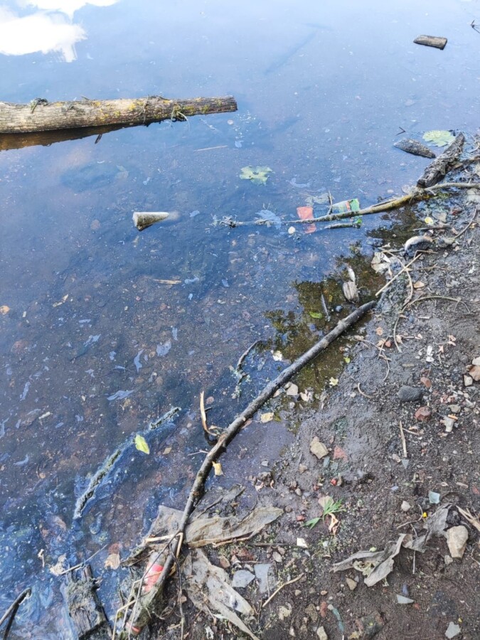 Росприроднадзор проверяет подозрительное пятно в реке Кострома