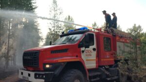 Началось: первый лесной пожар произошел в Костромской области