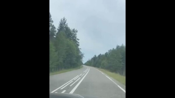 «Азбука Морзе»: разметка на одной из костромских дорог пытается что-то сказать водителям
