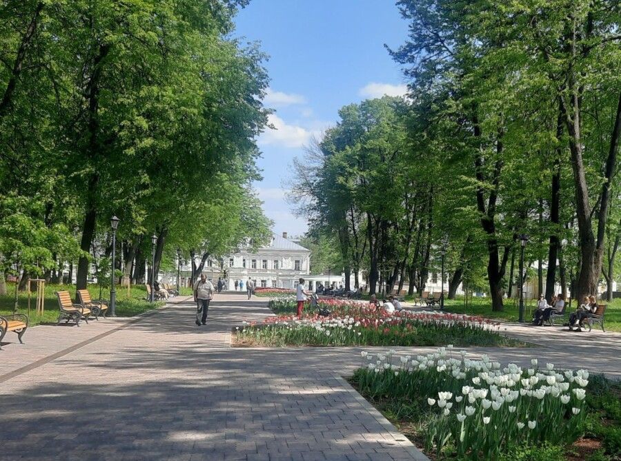 Стало известно, почему парки в Костроме не очень чистые