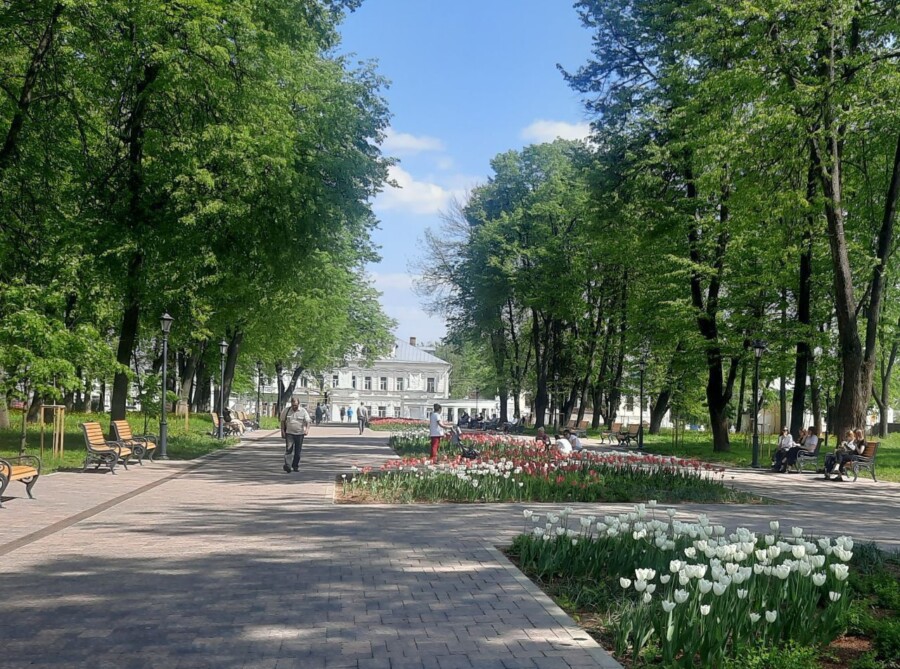 Недоделанный парк «Центральный» в Костроме: будут ли доделывать?