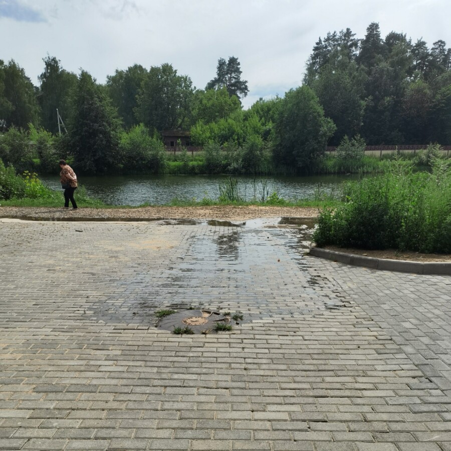 Фекалии из элитного ЖК в Костроме текут прямо в пруд