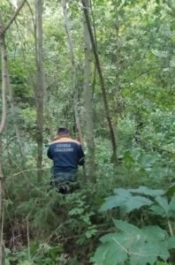 Пенсионер с черникой пропал в лесу под Костромой