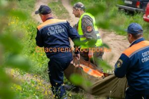 Чудо: спасатели нашли в костромском лесу 90-летнего дедушку