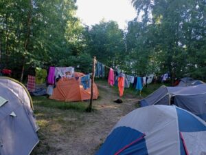 Клещи и странная еда: в костромских лагерях для детей нашли много интересного