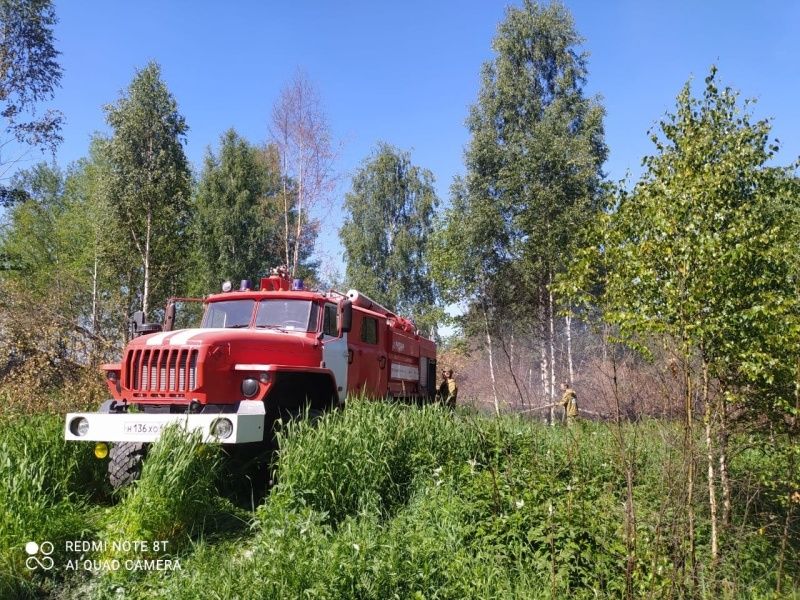 Больше ста гектаров леса горело в Костромской области