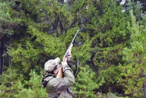 Запрет на охоту опять расширили в Костромской области