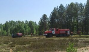 Лесной пожар подобрался к жилым домам в Костромской области