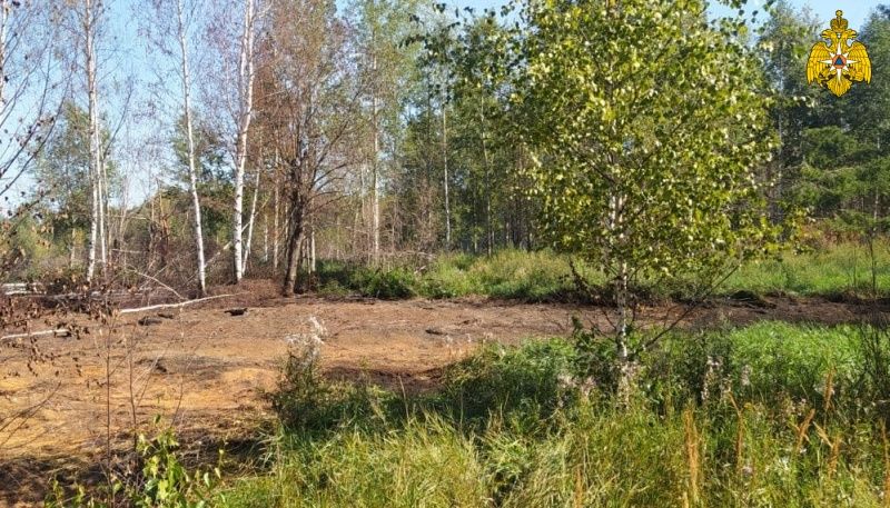 Еще одна напасть: в Костромской области загорелся торф