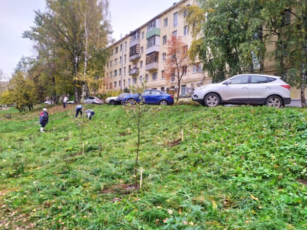 Тысячи деревьев и кустарников появятся в Костроме