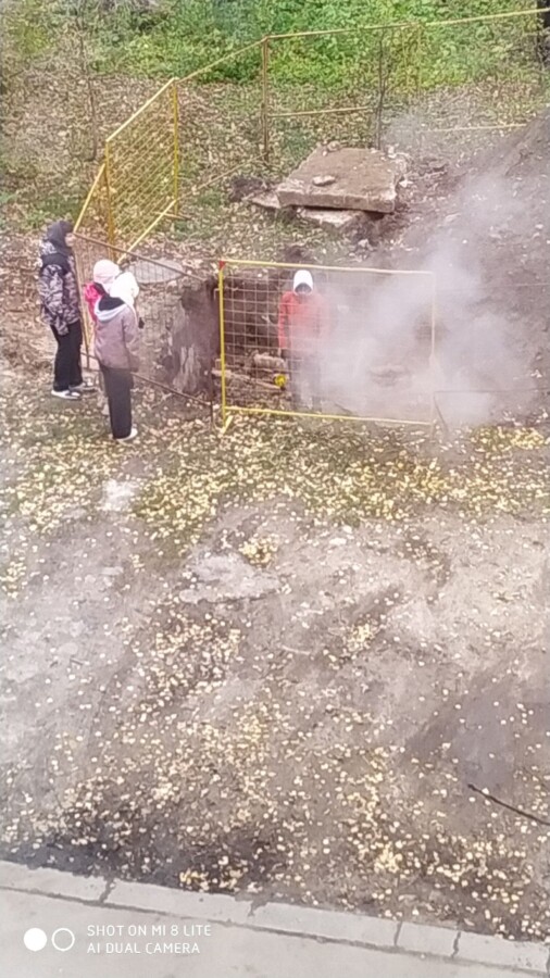 Суровые дети в Костроме играют в разрытых коммунальщиками ямах с кипятком