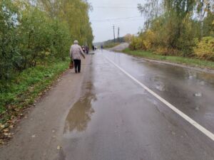 Пенсионерам подарили страдания в День пожилого человека в Костроме