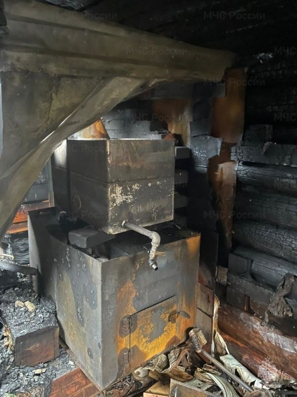 Натопили печь: пять свиней загорелись в бане Костромы
