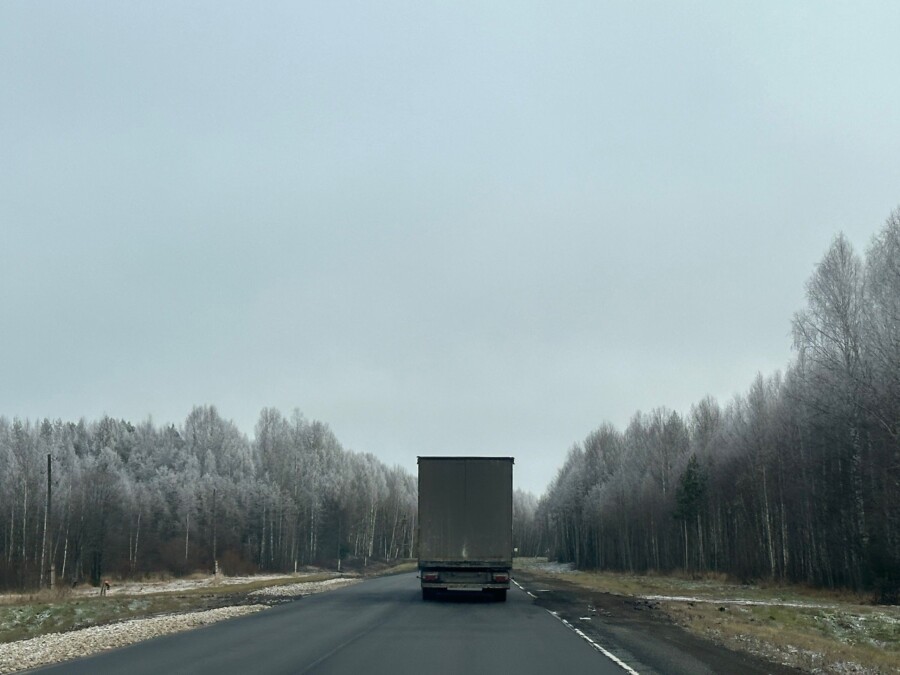 Лес экстренно вывозят из Костромской области