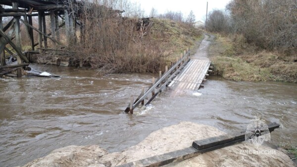 Двое костромских детей упали с моста в реку