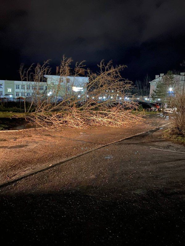 900 подстанций вышли из строя из-за шторма в Костромской области