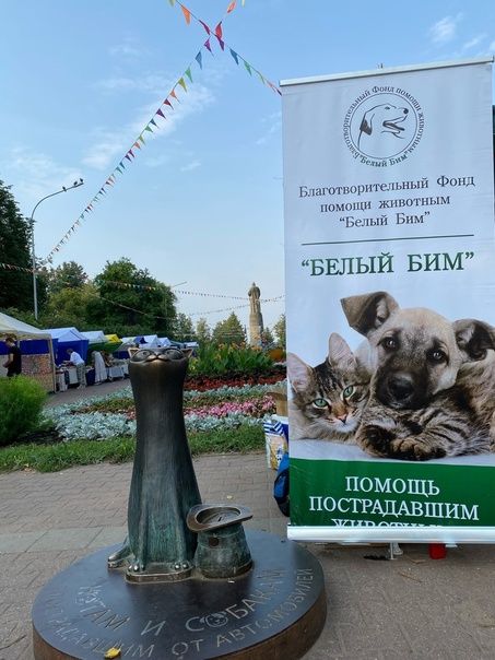 Чиновники дадут 200 тысяч на зимовку приюта для животных в Костроме