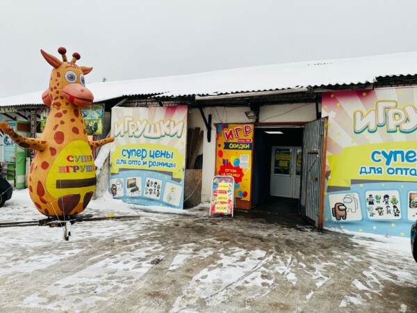 Тотальная распродажа в магазине игрушек в Костроме