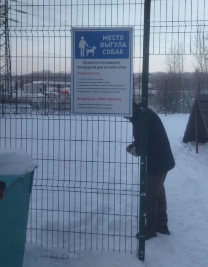 Бесплатная площадка для собак появилась в Костроме