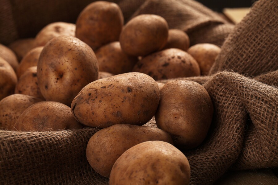 Сажать картошку начали в Костромской области