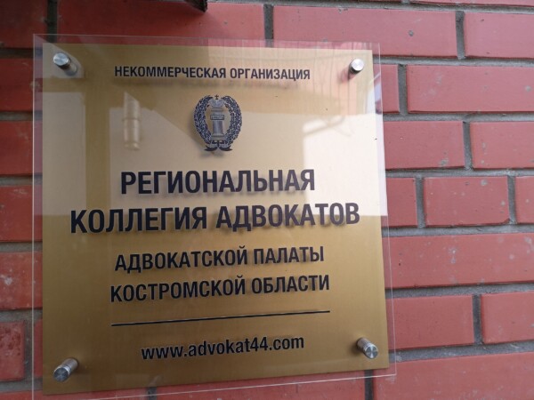 Разводы, наследство, СВО и другие вопросы: известные адвокаты бесплатно помогут жителям Костромы