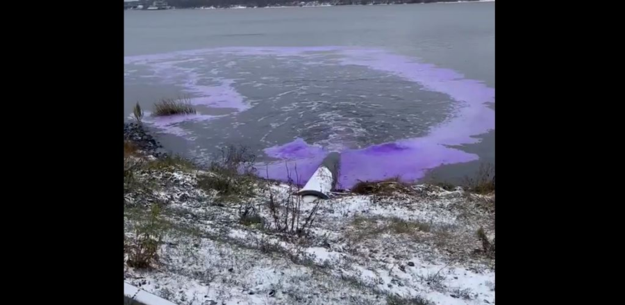 Фиолетовое пятно обнаружили на берегу Волги в Костроме