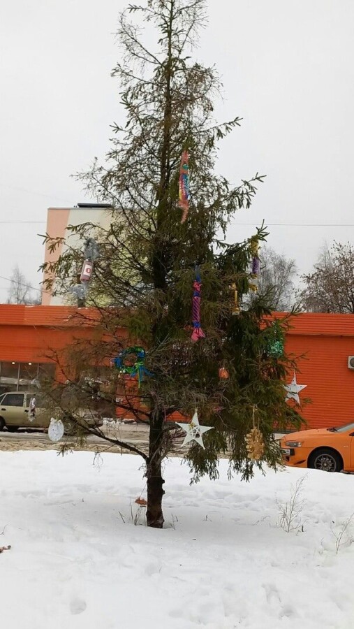 Родня Снегурочки-монстра: самую страшную елку нашли в Костроме