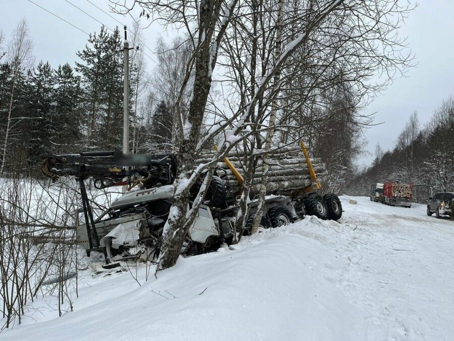 Не учли погоду: жуткая авария с лесовозом произошла под Костромой