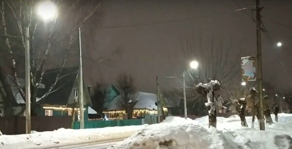 Жителей посёлка под Костромой затошнило от новогоднего режима уличных фонарей: видео