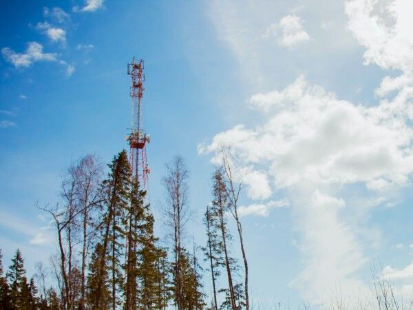 И в городе, и в селе: Tele2 улучшила качество связи в 10 районах Костромской области
