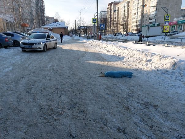 Известную собаку насмерть сбили на тротуаре в Костроме