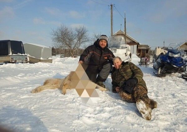Костромские охотники застрелили убийц животных