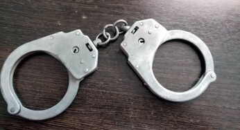 Костромич разложил отраву по городу и попросил его пожалеть