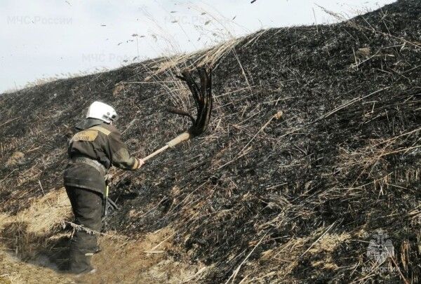Костромской школьник заставил пожарных 6 часов бороться с огнем