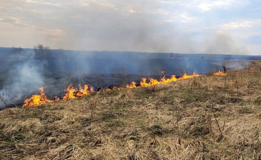 Страшный пожар начался в лесу в Костромской области