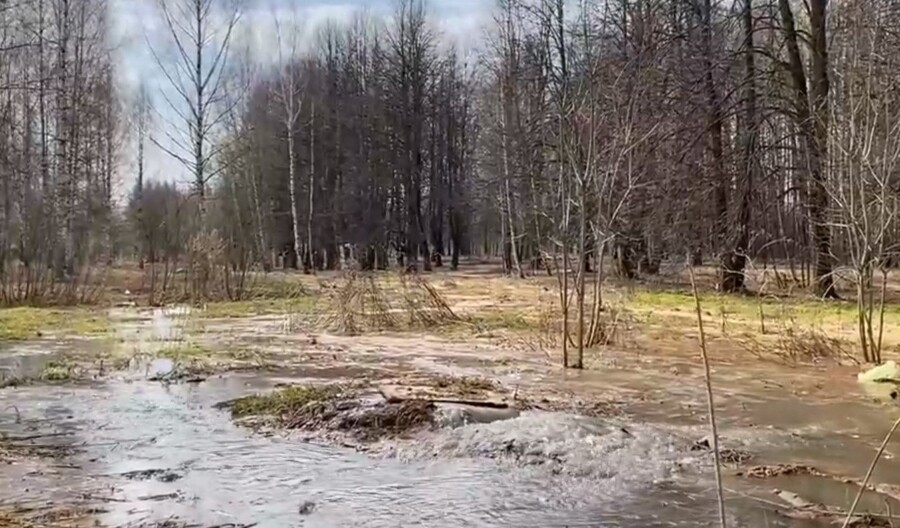 Прямо в Волгу: река канализации потекла в парке Победы
