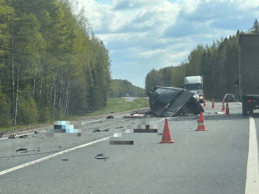 Оторванная рука на дороге: страшная авария произошла под Костромой