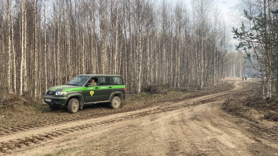 Облавы на отдыхающих в лесу начинают в Костромской области