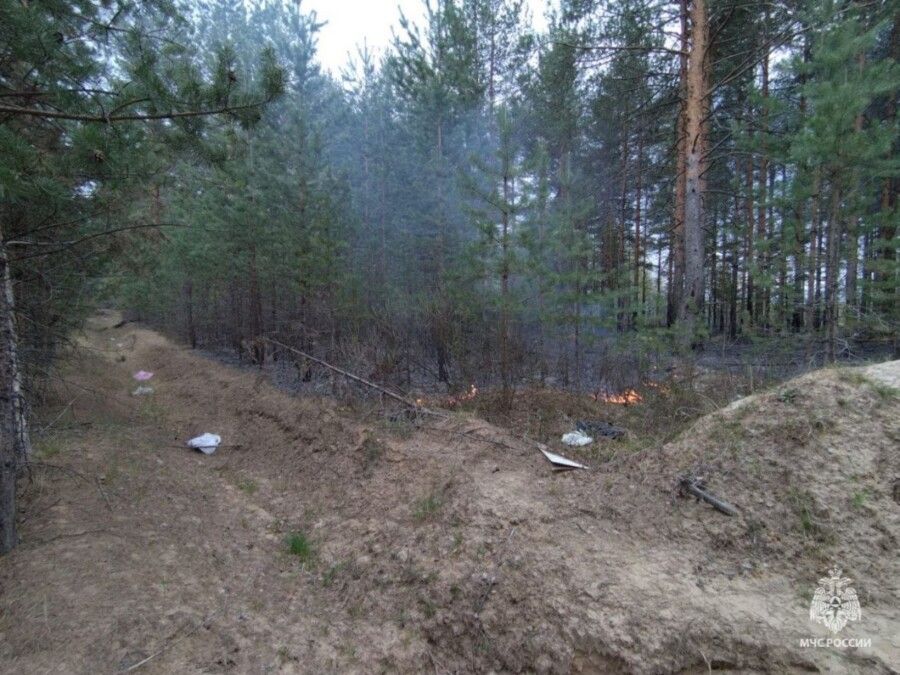 Первый лесной пожар обнаружили в Костромской области