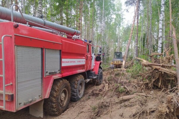 Большой пожар начался в лесу в Костромской области