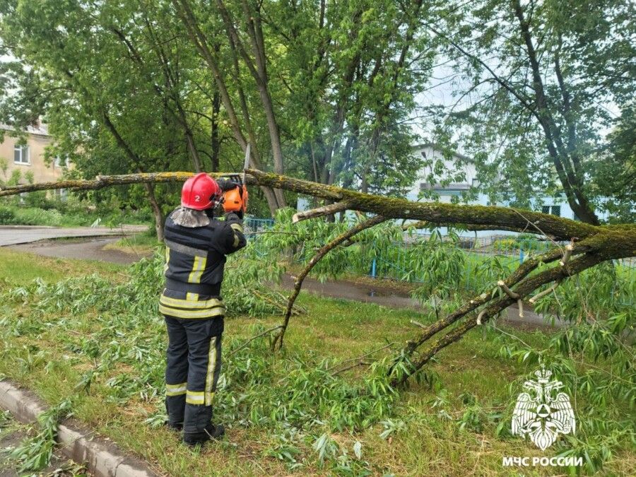 Сильный ветер поставил ловушку у детского сада в Костроме