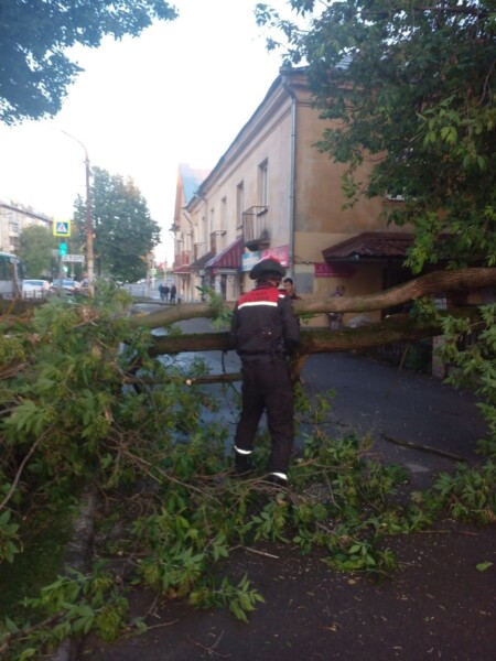 Ураганный ветер повалил кучу деревьев в Костроме