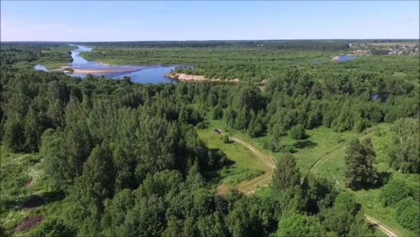 Запрет на пикники и прогулки в лесах продлили в Костромской области