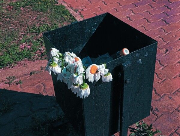 Ветер и хулиганы заставили костромских депутатов подумать о чистоте урн