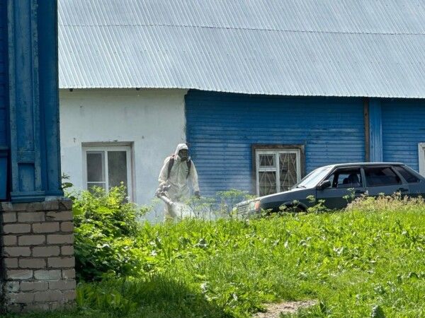 Районы Костромской области заканчивают прыскать ядом
